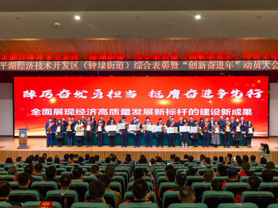 恒業(yè)電子獲2022年度“銷(xiāo)售進(jìn)階獎(jiǎng)”、“納稅進(jìn)步獎(jiǎng)”稱(chēng)號(hào)